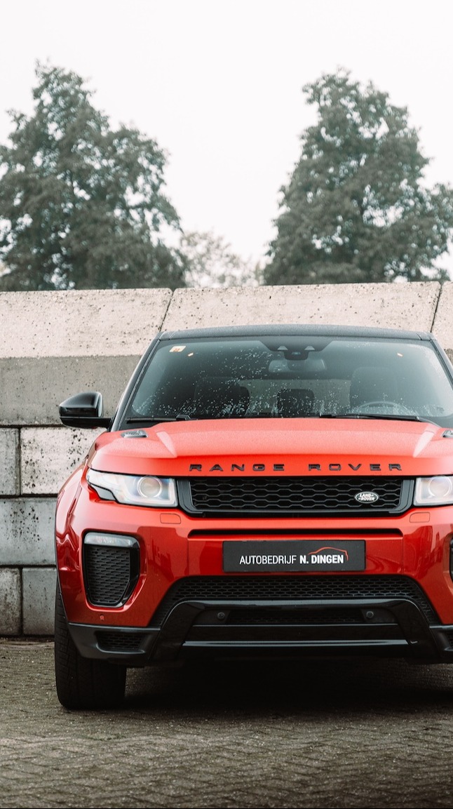 Banner Image 1