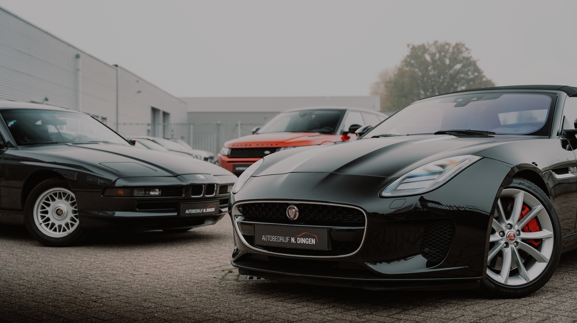 Header Image 0
